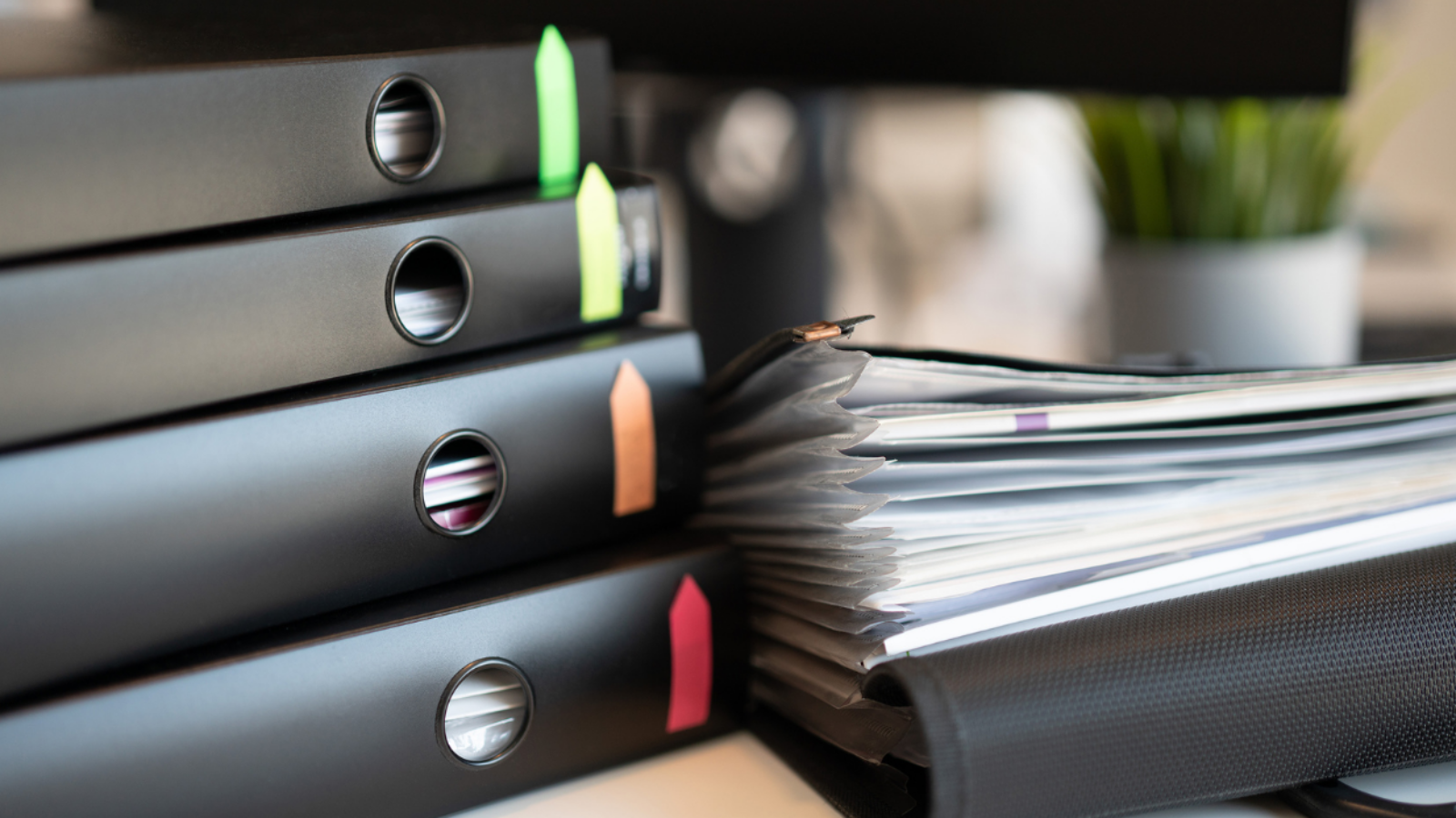 segregatory na biurku